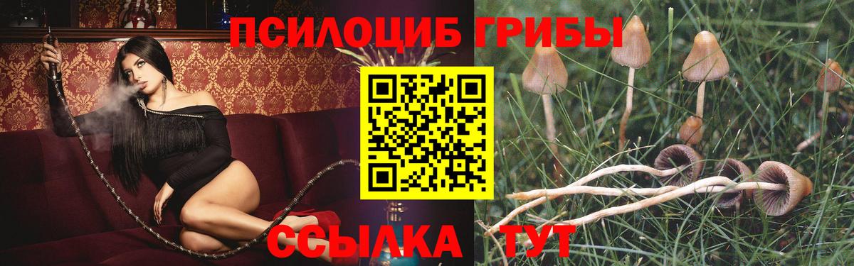 Псилоцибиновые грибы Magic Shrooms Ирбит
