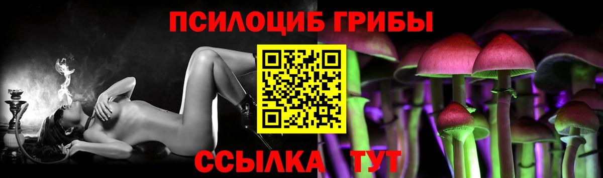 купить наркотики цена  Вход с VPN  Ирбит  Галлюциногенные грибы GOLDEN TEACHER 